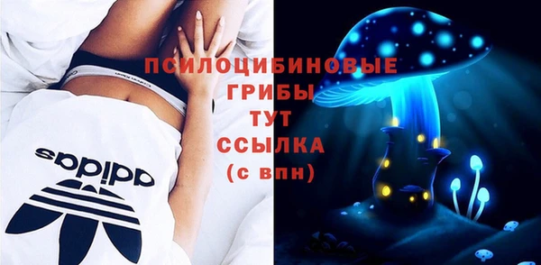 мдпв Костерёво