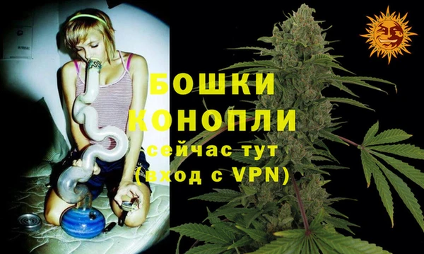 мдпв Костерёво
