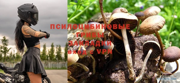 мдпв Костерёво