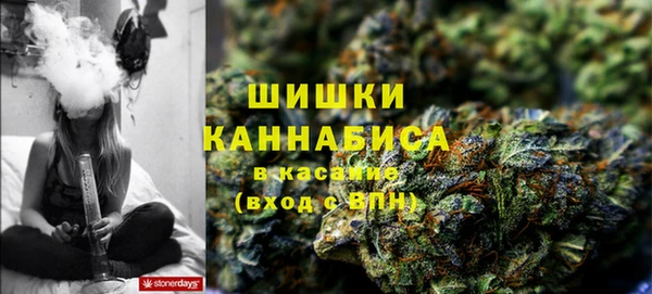 мдпв Костерёво