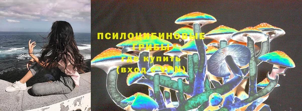мдпв Костерёво