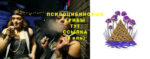 МДПВ Корсаков
