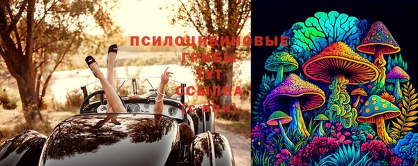 мдпв Костерёво