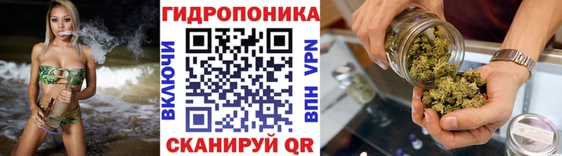 Марихуана OG Kush  Купить закладки  Жуковка 